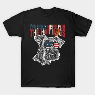 I'm only here for the hot dogs T-Shirt